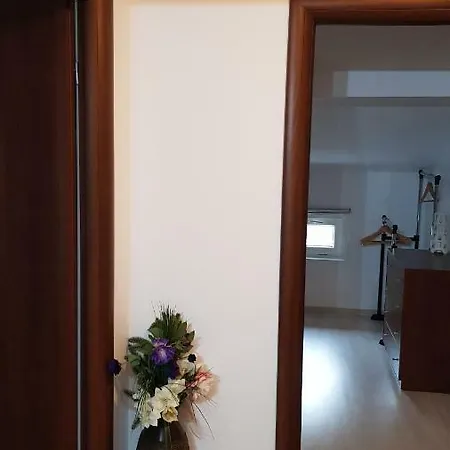 Raelma Guest house *