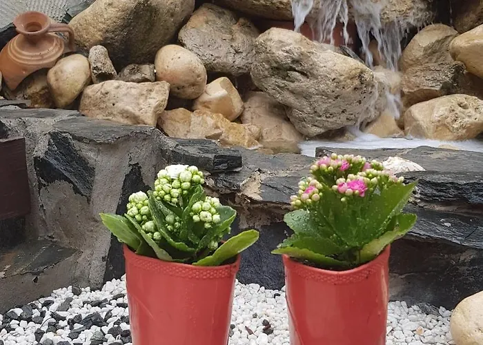 Raelma Guest house 3*